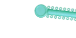 Wilmington, NC Orthodontist Teeth
