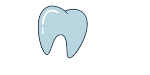 Wilmington, NC Orthodontist Tooth